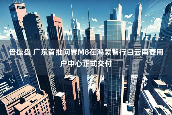倍操盘 广东首批问界M8在鸿蒙智行白云南菱用户中心正式交付